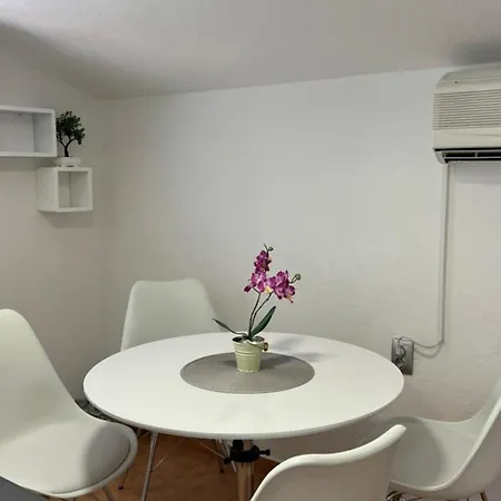 Violet * تروغير