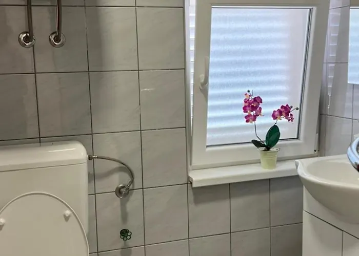 Violet Apartman *