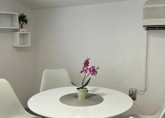 Violet * Τρογκίρ